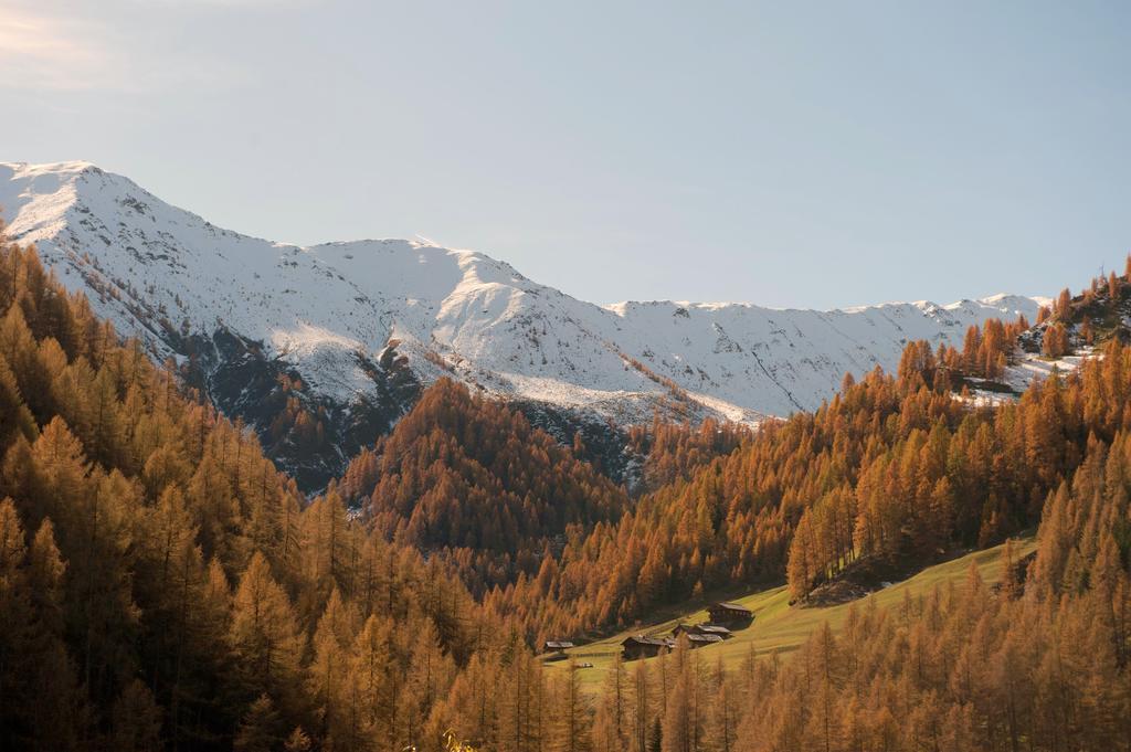 Giatla Hof Der Alfenalm - Ferienwohnungen Am Berg Innervillgraten Exterior photo